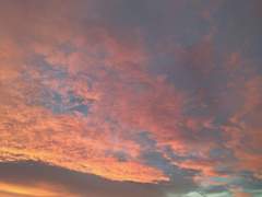 너는 세기말이라고, 했다