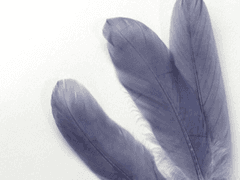 limite du jour et de la nuit.