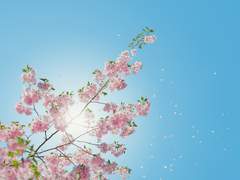 Four Seasons Love - S1