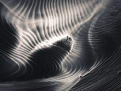 디프레스의 융단 위에서