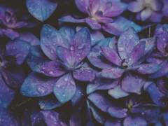 과거와 현재의 차이