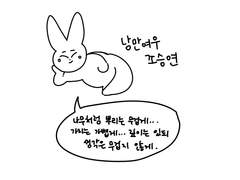 낭만여우 조승연 1