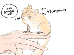 알베르 저하가 날다람쥐가 되었다3