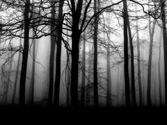 죽음에 관한 정의 01