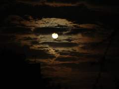 형은 아무것도 모르죠 01