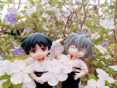 카오신 오비츠(Q, Comics)