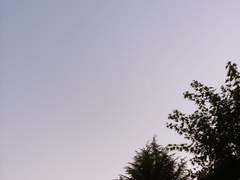 부벨르 가의 고용인을 위한 지침서