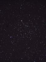 내가 사랑하는 것들