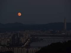 [토니피터] 주제(완)