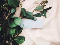 [태구현우] 살아있기 때문이야 上