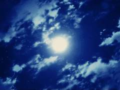 [칼리플란] 관계의 이름 1