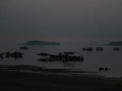 [화평최윤] 고집 1