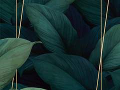 [공지] 멤버십 전부 마감되었습니다!