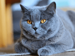 04. You Are The Real Bucky Barnes