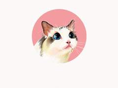 600 구독 기념 홉뷔 태냥썰북 이벤트