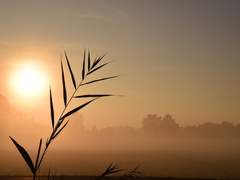 [전자오락수호대] TTL (Time To Love)