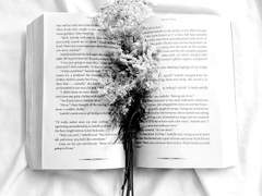 [국뷔] 나의 아저씨 完