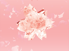 비나리 1 -작약-