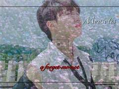 [순부 | 중장편 수위 팬픽] Myosotis. pro