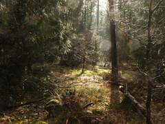 [중혁독자] 약속