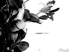 [태구현우] 살아있기 때문이야 下