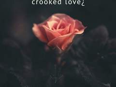 Under the rose_언더 더 로즈_trailer