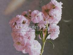 [찬백] Absolute Fidelity 05