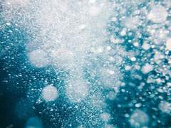 [백도] 너는 어떤 꿈에서, #1