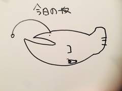 2019.09.14 월피스 사 업무 보고 리포트 (+녹화본)