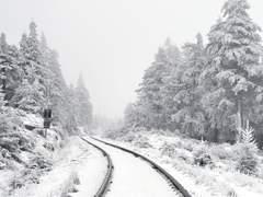 [찬백] 식장으로 가는 특급열차