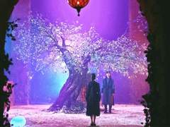 回想: 지지 않는 달