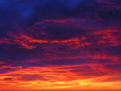 Tomorrow Tonight 上