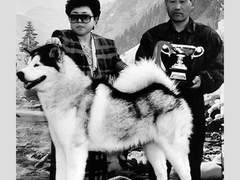 (번역)애견가 연속살인사건