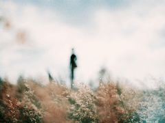 [백민] 도깨비 신랑 1