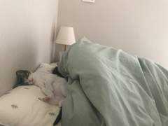 당신의 아침은 몇 시부터입니까?