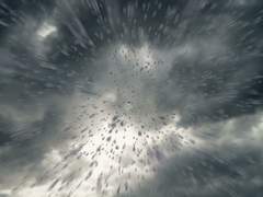 [알렉매그] 첫사랑주의보 (4)