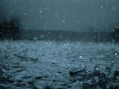 [알렉매그] 첫사랑주의보 (5)