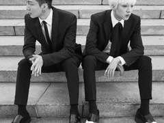 사자는 고양이고, 여우는 개다.