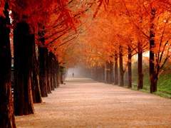 나는 더 다정한 척을,척을,척을