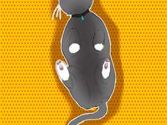 190926일자 리퀘모음