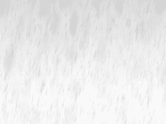 [표준규격전사] 로벨리아