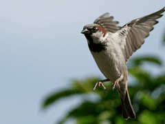 그 날, 유유히 하늘을 날던 너의 모습이 기억나네!