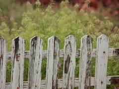 [마사니노] エプロンのポケットに手を入れると。