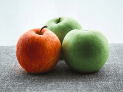 예방 주사를 제대로 맞았다고 생각해요, 우리!