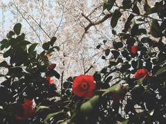 끝과 시작에서.