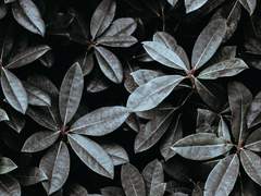 [나엠에세] 청춘 루미너스 中