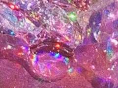 더이상 꿈으로만 남지 않도록.