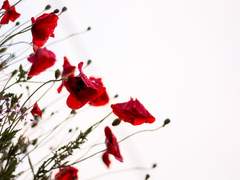 짧은 썰(트위터꺼 킵)