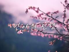 반야의 천령 : 등장인물 프로필(1)