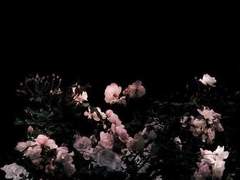 캘리그라피 커미션